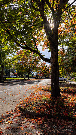 Town of Snoqualmie