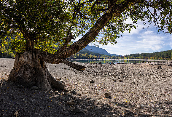 Rattlesnake Lake