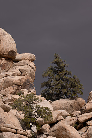 Barker Dam Trail