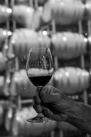 DeLille Cellars- Woodinville
