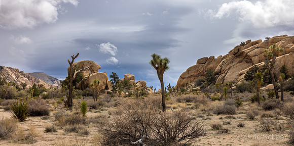 Barker Dam Trail