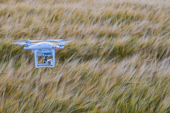 Drone