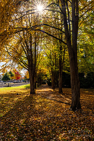 Town of Snoqualmie