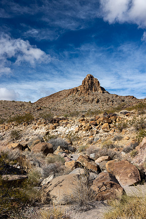 Nevada- Petroglyph Trail 3