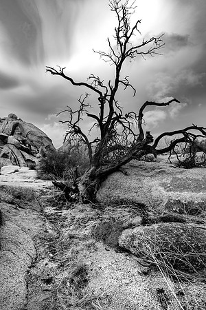 Barker Dam Trail