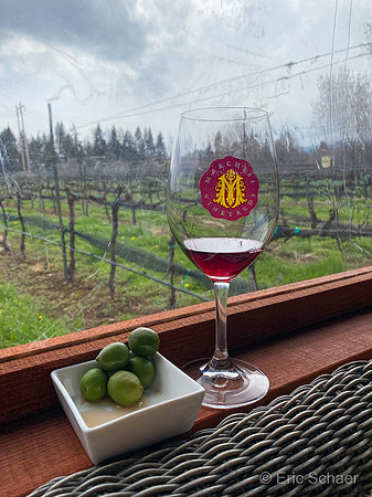 Marchesi Winery-6547