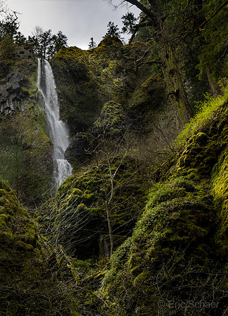 Starvation Creek Falls