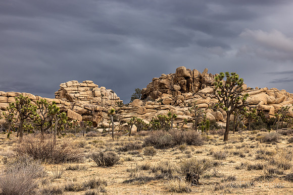 Barker Dam Trail