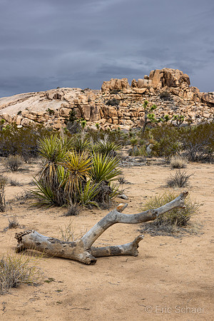 Barker Dam Trail