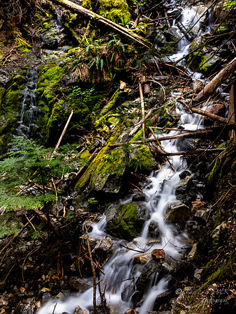 Teneriffe Waterfall