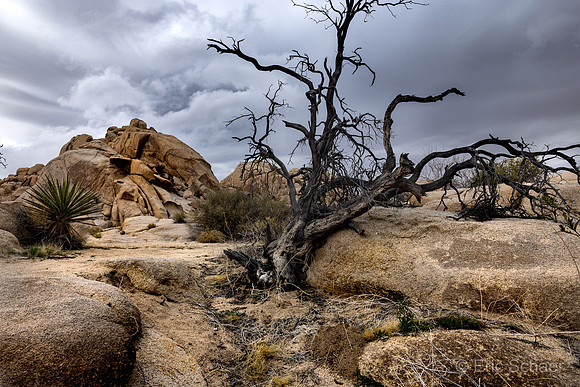 Barker Dam Trail