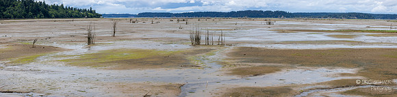 Tidelands- Panorama