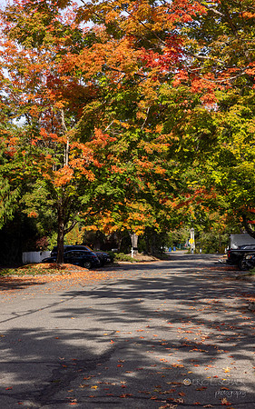 Town of Snoqualmie
