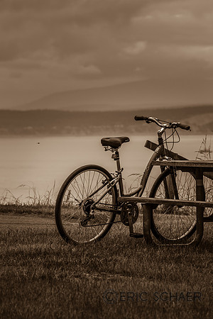 Bike at Puget Sound- WA