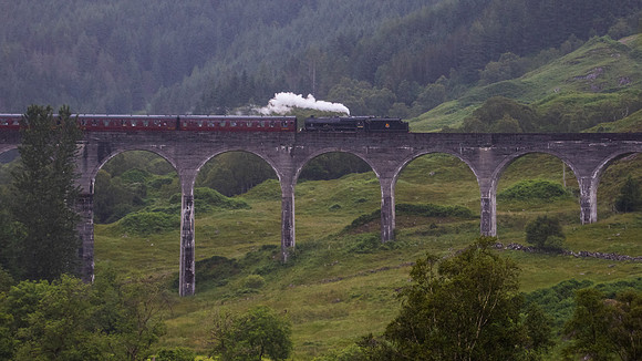 Harry Potter Train
