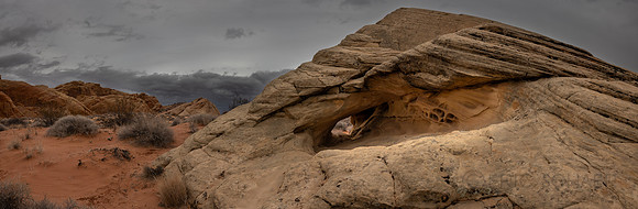 Nevada- Valley of Fire Petrified Dune