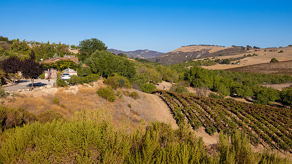 2021, California, Central Coast, Manucci Winery, Paso Robles, Wild Coyote Winery