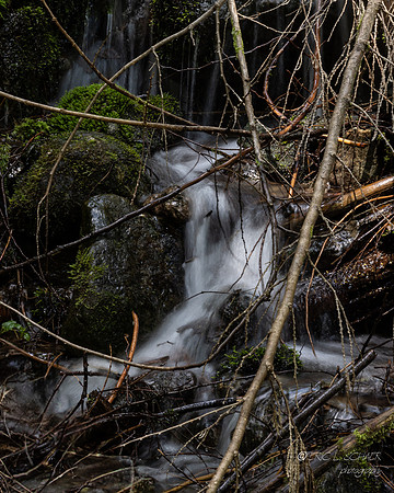 Stream Detail