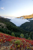Washington- Hurricane Ridge Valley