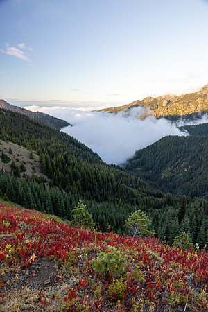 Washington- Hurricane Ridge Valley