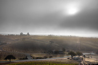 Manucci / Wild Coyote Winery