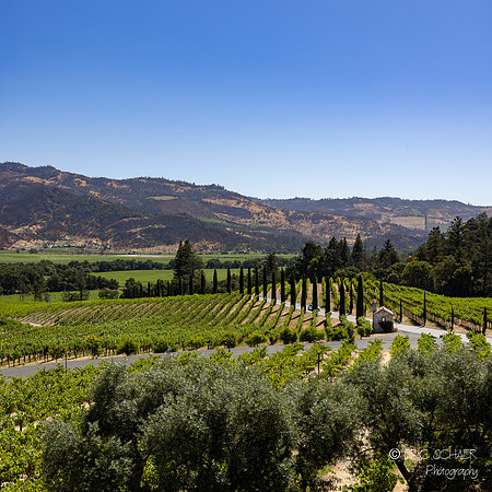 Castello di Amorosa, Castle Winery- Napa Valley California