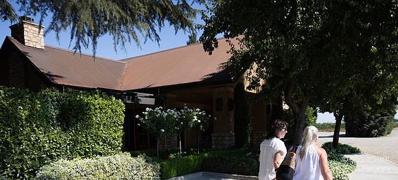 Harney Lane Winery- Lodi California