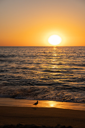 California- Redondo Beach Sunset 1