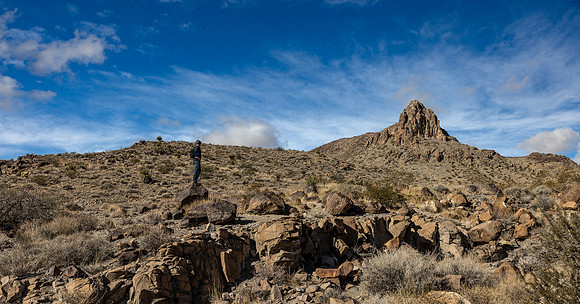 Nevada- Petroglyph Trail 4