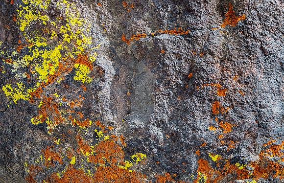 Nevada- Petroglyph Trail Rock