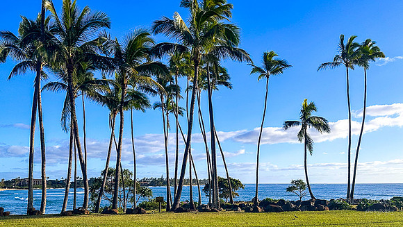 I-Phone: Hikinaakala Heiau Sacred Site: Lydgate Beach Park- Kapa'a
