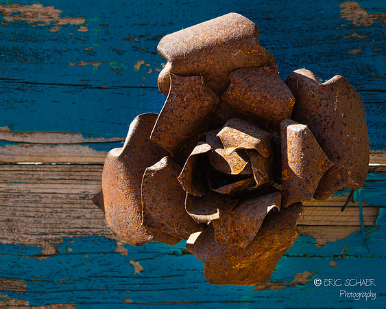 Peacock Cellars Winery- metal/wood art work