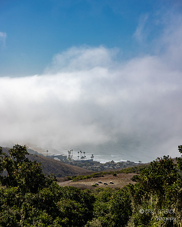 Pismo Beach- Pismo Preserve Hike