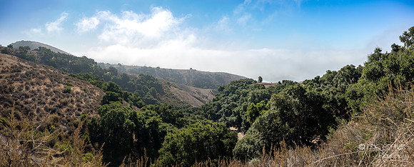 Pismo Beach- Pismo Preserve Hike