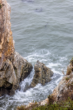 Pismo Beach- Inn at the Cove Shoreline Rocks