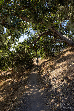 Pismo Beach- Pismo Preserve Hike