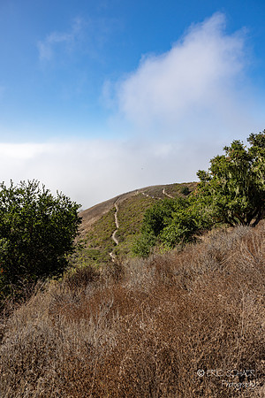 Pismo Beach- Pismo Preserve Hike