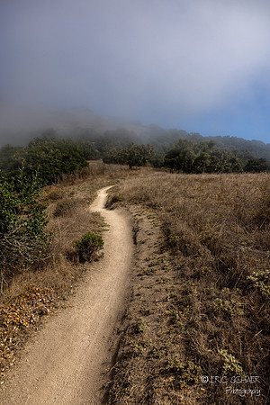 Pismo Beach- Pismo Preserve Hike