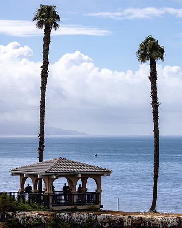 Pismo Beach- Protective Hut- Whale in background