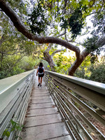 San Luis Obispo- Reservoir Canyon Natural Reserve