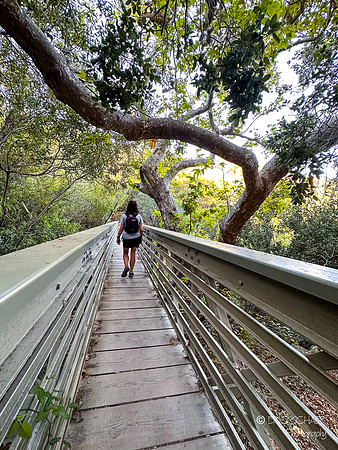 San Luis Obispo- Reservoir Canyon Natural Reserve