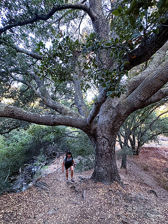 San Luis Obispo- Reservoir Canyon Natural Reserve