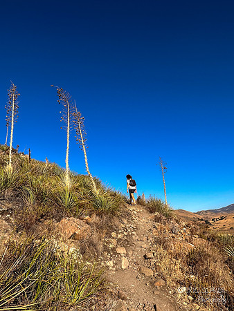 San Luis Obispo- Reservoir Canyon Natural Reserve