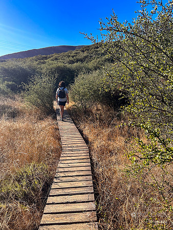 San Luis Obispo- Reservoir Canyon Natural Reserve