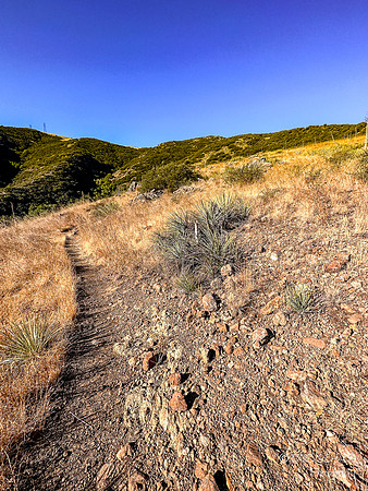San Luis Obispo- Reservoir Canyon Natural Reserve