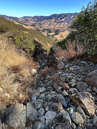 San Luis Obispo- Reservoir Canyon Natural Reserve