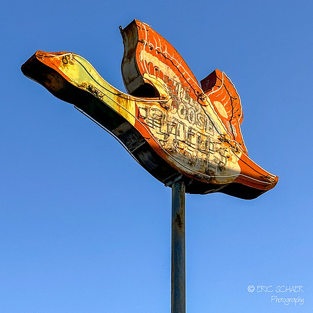 Shell Beach- Sign