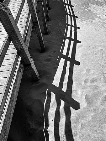 April: I-Phone- Indiana Dunes National Park