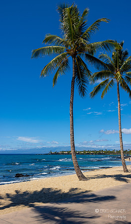 Big Island Hawaii--12