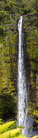 Big Island Hawaii--9